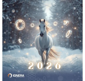 Laimingų ir produktyvių Naujųjų metų!